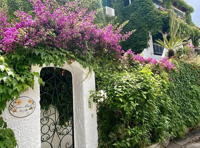 Casa Malo'