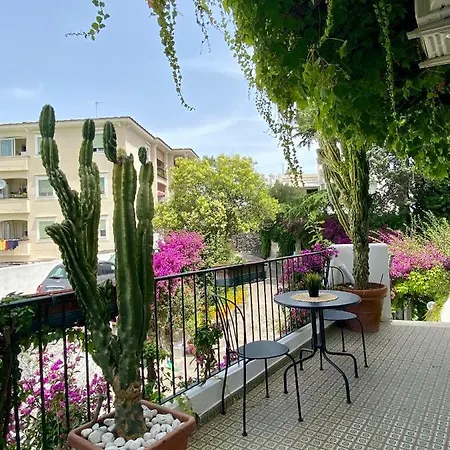 Casa Malo' 4* 伊斯基亚