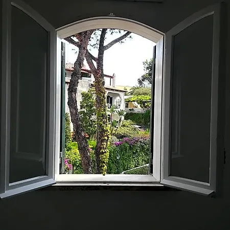 Casa Malo' Nocleg ze śniadaniem 4*