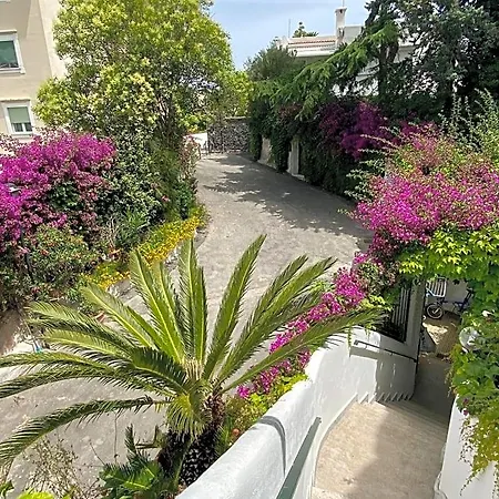 Casa Malo' Bed & Breakfast Ischia