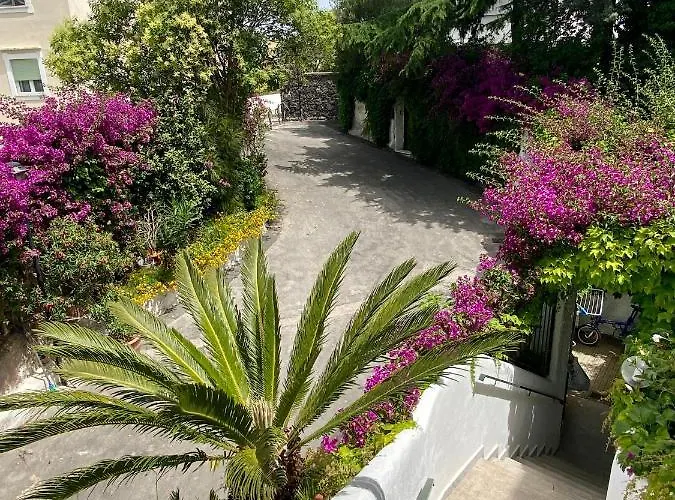 Casa Malo' 이스키아